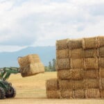 Transporting and Storing the Hay