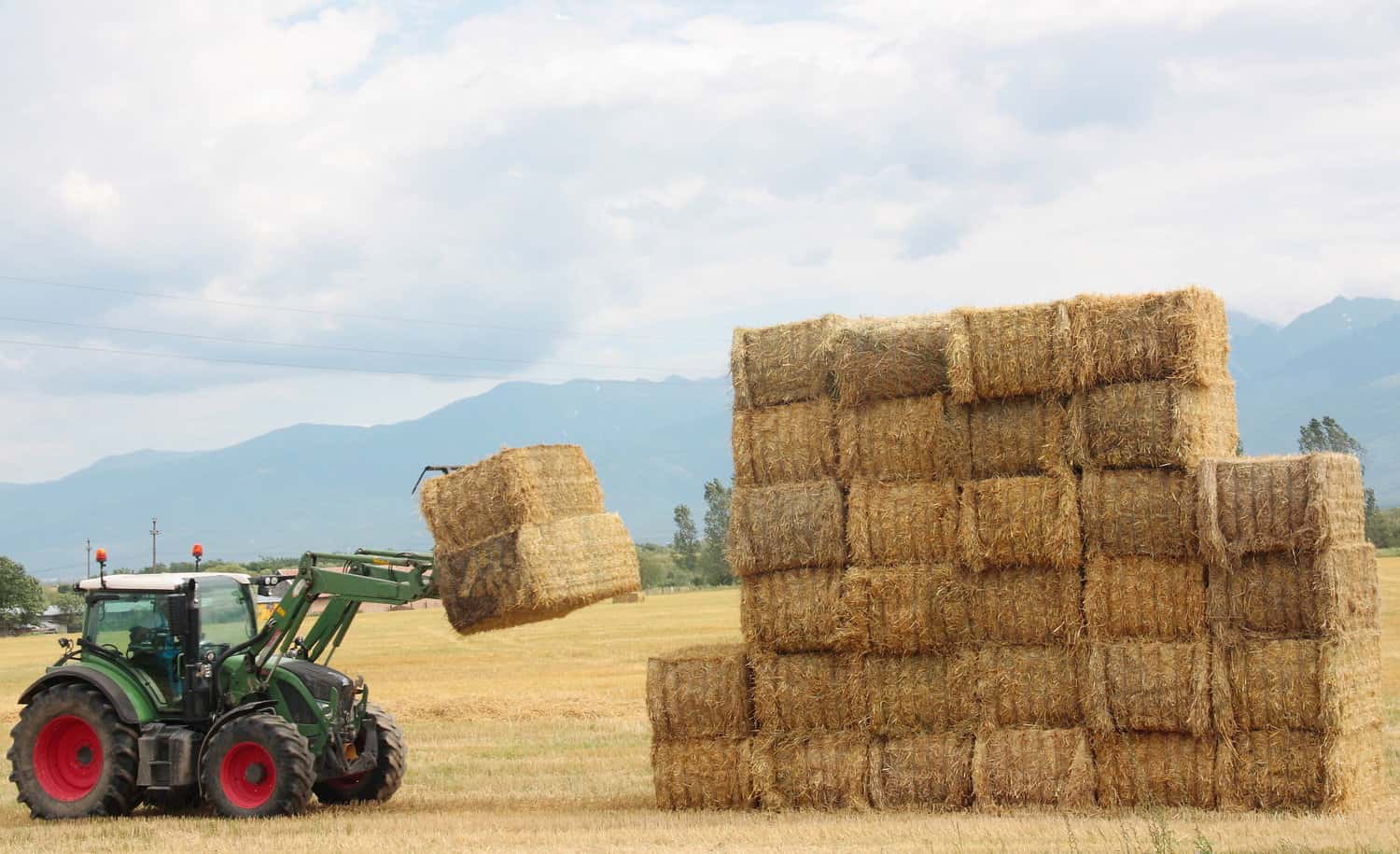 Transporting and Storing the Hay
